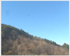  2024Ÿ��32404 �泲 ������ ���� ��53-4       ����(�Ӿ�)���