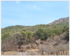  2024Ÿ1226 泲   45       (Ӿ)