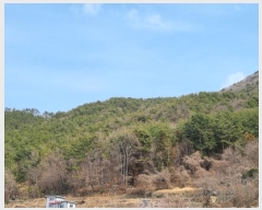  2024Ÿ1226 泲   45       (Ӿ)