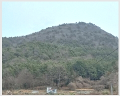  2024Ÿ1226 泲   45       (Ӿ)