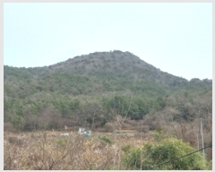  2024Ÿ1226 泲   45       (Ӿ)