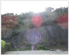  2024Ÿ��2205  ������