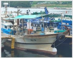  2024Ÿ��2472 (����) ������ ������        ���ڰ��