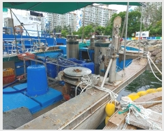  2024Ÿ��2472 (����) ������ ������        ���ڰ��