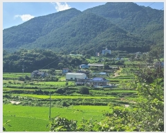  2024Ÿ3482 泲  ŷ ſ븮 1457      ()