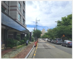  2024Ÿ3482 泲  ŷ ſ븮 1457      ()