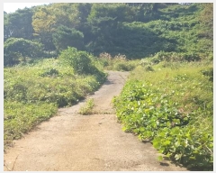  2024Ÿ4300 泲  ϸ  107      (Ӿ)