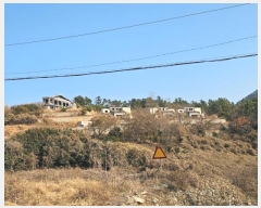  2024Ÿ5051 泲    387-6      (Ӿ)