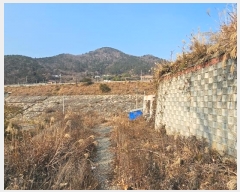  2024Ÿ5051 泲    387-6      (Ӿ)