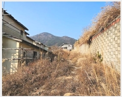  2024Ÿ5051 泲    387-6      (Ӿ)