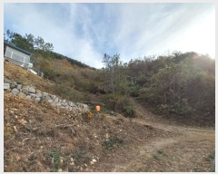  2024Ÿ5228 泲  ȸȭ  75-7      (Ӿ)