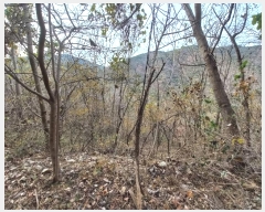  2024Ÿ5228 泲  ȸȭ  75-7      (Ӿ)