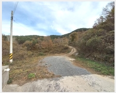  2024Ÿ5228 泲  ȸȭ  75-7      (Ӿ)