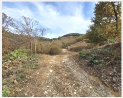  2024Ÿ5228 泲  ȸȭ  75-7      (Ӿ)