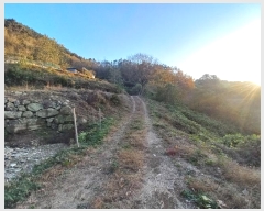  2024Ÿ5228 泲  ȸȭ  75-7      (Ӿ)