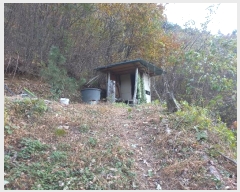  2024Ÿ5228 泲  ȸȭ  75-7      (Ӿ)