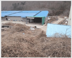  2024Ÿ��5549 �泲 ������ ���̸� ������ 244      ����,â�����