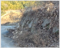  2024Ÿ��5655 �泲 ������ ��û�� ���踮 ��86      ����(�Ӿ�)���