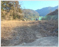  2024Ÿ��5655 �泲 ������ ��û�� ���踮 ��86      ����(�Ӿ�)���