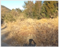  2024Ÿ��5655 �泲 ������ ��û�� ���踮 ��86      ����(�Ӿ�)���