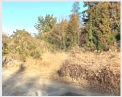  2024Ÿ��5655 �泲 ������ ��û�� ���踮 ��86      ����(�Ӿ�)���