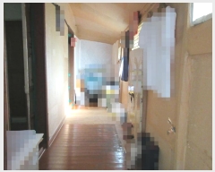  2024Ÿ��24397  ���ð��