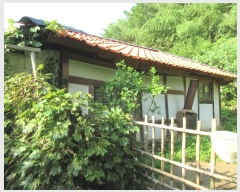  2024Ÿ��24397  ���ð��