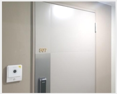  2024Ÿ28474 泲  14 11, 8807ȣ (ֵ,浿Ÿ)     ܵ(ȣ)