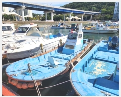  2024Ÿ28900    ׸       ڰ