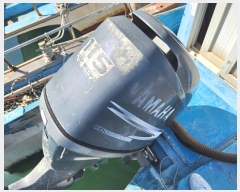  2024Ÿ28900    ׸       ڰ