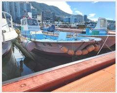  2024Ÿ28900    ׸       ڰ