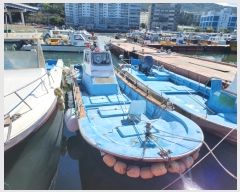  2024Ÿ28900    ׸       ڰ