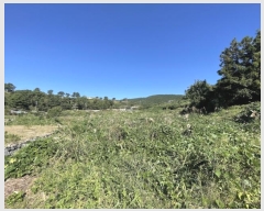  2024Ÿ30415 泲  θ 踮 540      (1)