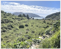  2024Ÿ30415 泲  θ 踮 540      (1)