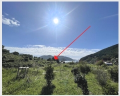  2024Ÿ30415 泲  θ 踮 540      (1)