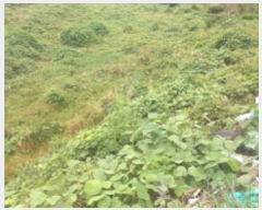  2024Ÿ30415 泲  θ 踮 540      (1)