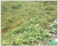  2024Ÿ30415 泲  θ 踮 540      (1)