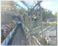  2024Ÿ��32145 �泲 ������ ���ʸ� ���縮 ��128      ����(�Ӿ�)���