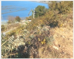  2024Ÿ��32145 �泲 ������ ������ ������ 1083      ����(�Ӿ�)���