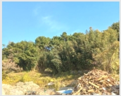  2024Ÿ��32145 �泲 ������ ������ ������ 1083      ����(�Ӿ�)���