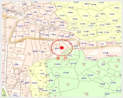  2024Ÿ32152 泲  1 98, 1102ȣ (,)     ټ,