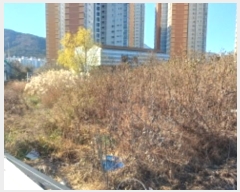  2024Ÿ��32480  ����