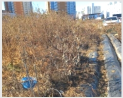  2024Ÿ��32480  ����