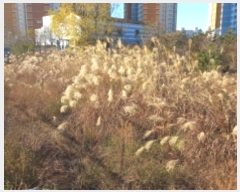  2024Ÿ��32480  ����