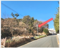  2024Ÿ33162 泲   8-2       (Ӿ)