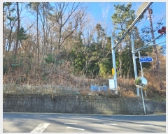  2024Ÿ33162 泲   8-2       (Ӿ)