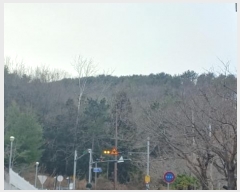  2024Ÿ33162 泲   8-2       (Ӿ)