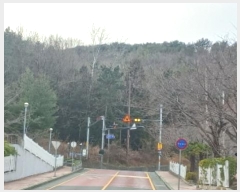  2024Ÿ33162 泲   8-2       (Ӿ)