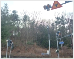  2024Ÿ33162 泲   8-2       (Ӿ)