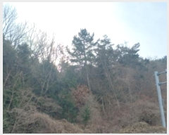  2024Ÿ33162 泲   8-2       (Ӿ)